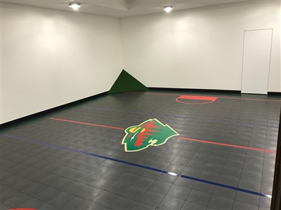 Indoor sports court with dark grey flooring, red markings, and a central Wild logo.