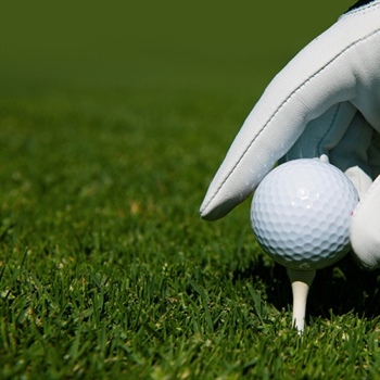 Designing a Backyard Putting Green: 10 Things to Consider