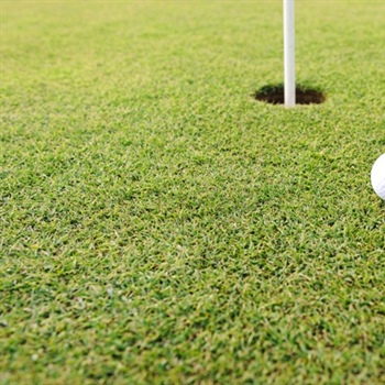 4 Putting Drills to Perfect Your Short Game